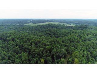 Tract 59 - Timberland & Farmland in Noble County, OH - LAND AUCTION - 12,200+/- ACRES OFFERED IN 65 TRACTS IN NOBLE COUNTY, OHIO